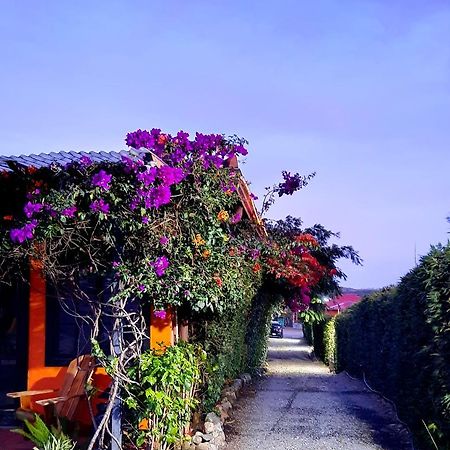 Cabanas San Miguel Alto Boquete Екстериор снимка