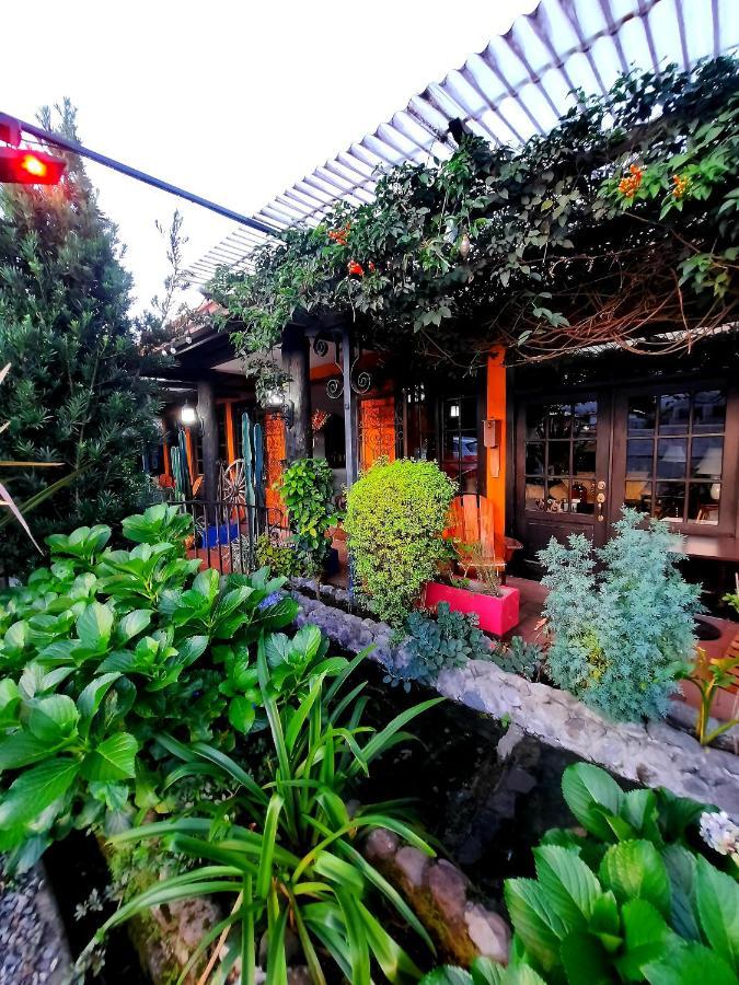 Cabanas San Miguel Alto Boquete Екстериор снимка